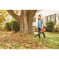 Leaf Blowers BLACK+DECKER 90 MPH 320 CFM 20V MAX Lithium-Ion Handheld Axial Blower With (1) 2.0Ah Battery And Charger Included 4 Leaf Blowers BLACK+DECKER 90 MPH 320 CFM 20V MAX Lithium-Ion Handheld Axial Blower With (1) 2.0Ah Battery And Charger Included -cuisinart shop black decker cordless leaf blowers bcbl700d1 66 1000