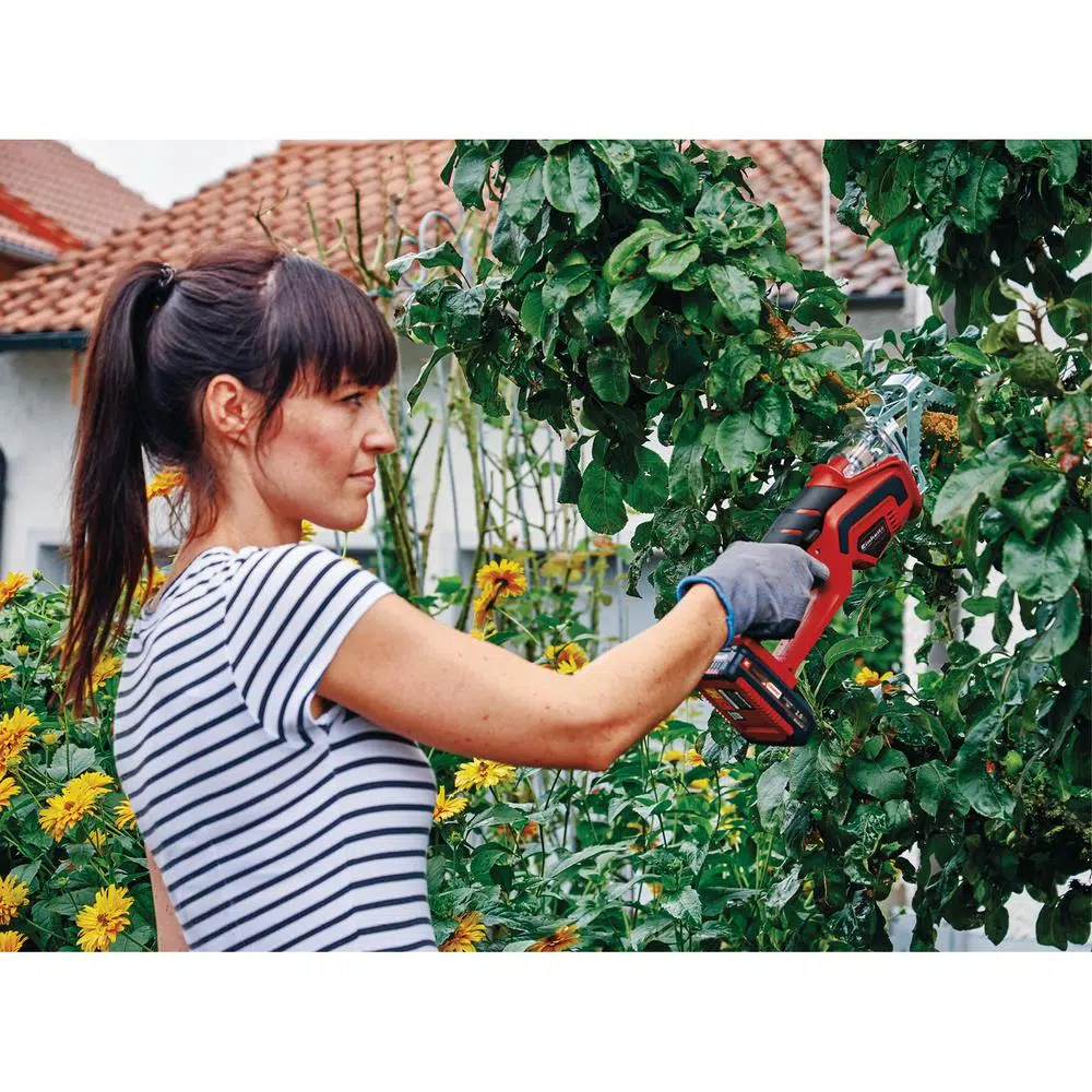Einhell PXC 18-Volt Cordless 6 in. 2,800-RPM Tree Pruning Saw, 3.5 in. Cutting Diameter Kit (w/ 3.0-Ah Battery + Fast Charger) Trimmers Einhell PXC 18-Volt Cordless 6 In. 2,800-RPM Tree Pruning Saw, 3.5 In. Cutting Diameter Kit (w/ 3.0-Ah Battery + Fast Charger) -cuisinart shop einhell cordless hedge trimmers kit 3408226 44 1000