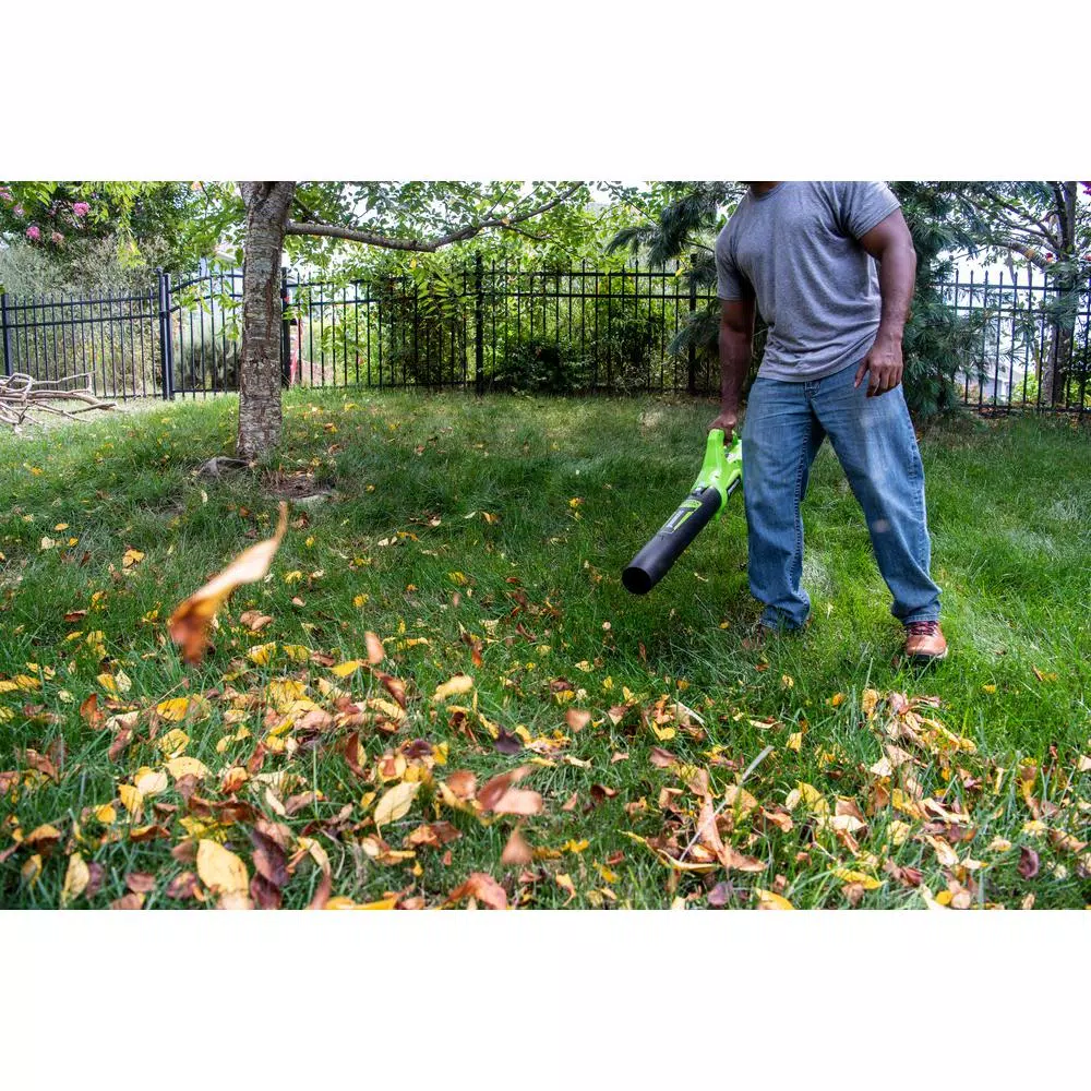 Leaf Blowers Greenworks 90 MPH 320 CFM 24-Volt Battery Cordless Hand-Held Leaf Blower, Battery Not Included BL24B02 - Image 6