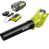 Leaf Blowers RYOBI Reconditioned 110 MPH 500 CFM 40-Volt Lithium-Ion Cordless Variable-Speed Jet Fan Leaf Blower, 4.0Ah Battery And Charger 1 Leaf Blowers RYOBI Reconditioned 110 MPH 500 CFM 40-Volt Lithium-Ion Cordless Variable-Speed Jet Fan Leaf Blower, 4.0Ah Battery And Charger -cuisinart shop ryobi cordless leaf blowers zrry40460 64 1000